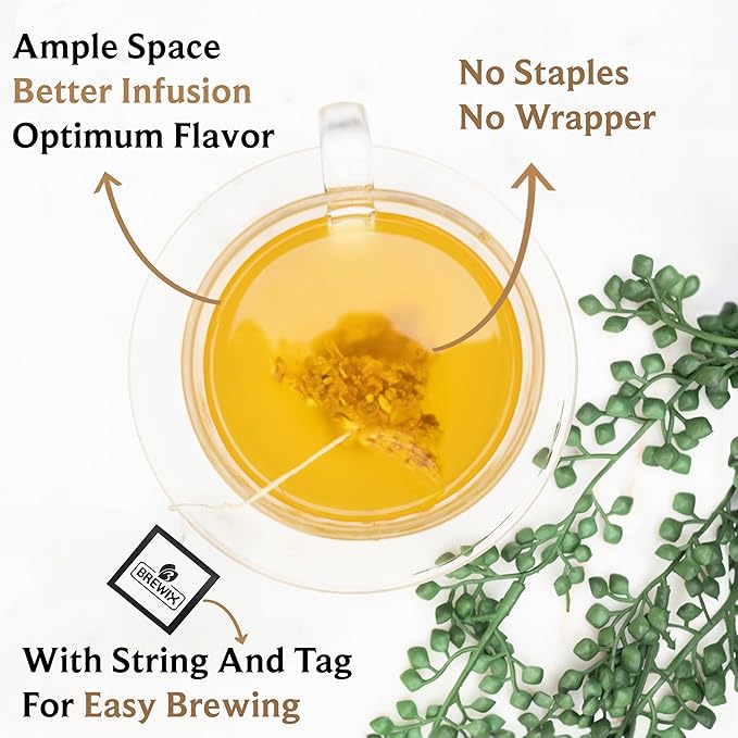 BREWIX, Turmeric Ginger Herbal Tea Bags (50 Pyramid Tea Bags) Caffeine-Free Ayurvedic Blend for Daily Wellness & Immune Balance | Daily Wellness Ritual | Gluten Free | Real Ingredients From India - Bloomnest