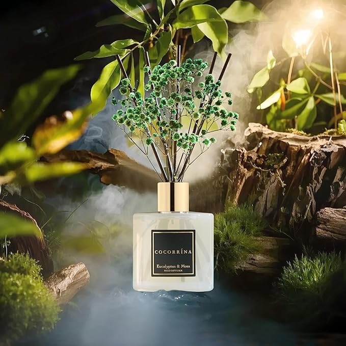 Cocorrína Reed Diffuser Sets- Eucalyptus & Moss Scented Diffuser with Sticks Home Fragrance Reed Diffuser for Bathroom Shelf Decor - Bloomnest