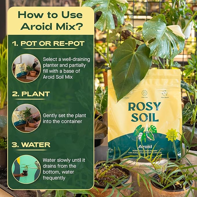 Rosy Soil Aroid Soil Potting Mix - Peat-Free, Microbially Active Biochar Powered Soil for Aroids - Superior Aeration & Drainage for Aroid Plants - Ideal for Indoor Gardening - 4 Quarts - Bloomnest