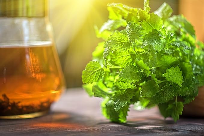 Lemon Balm (Herbal Tea): (Melissa Officinalis Caffeine Free) - Balm Leaf (Cut and Sifted), 1lb (16Oz) U.S. Wellness Bulk Tea - Bloomnest