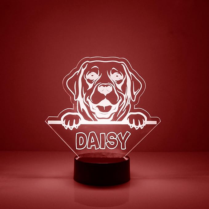 Dog LED Light for Dog Lovers, Custom Engraved with Your Name or Text, Includes Remote with 16 Colors (Labrador Retriever) - Bloomnest