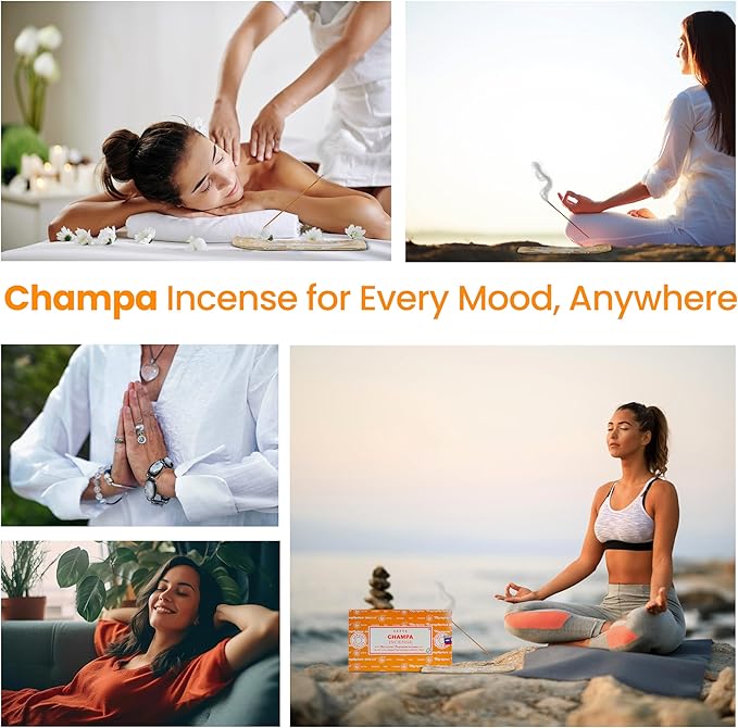 Satya Champa Incense Sticks, Satya Bng Insenses 15gmx12 Pack with Raajsee Incense Holder Bundle, Satya Nagchampa Natural Incense - Bloomnest