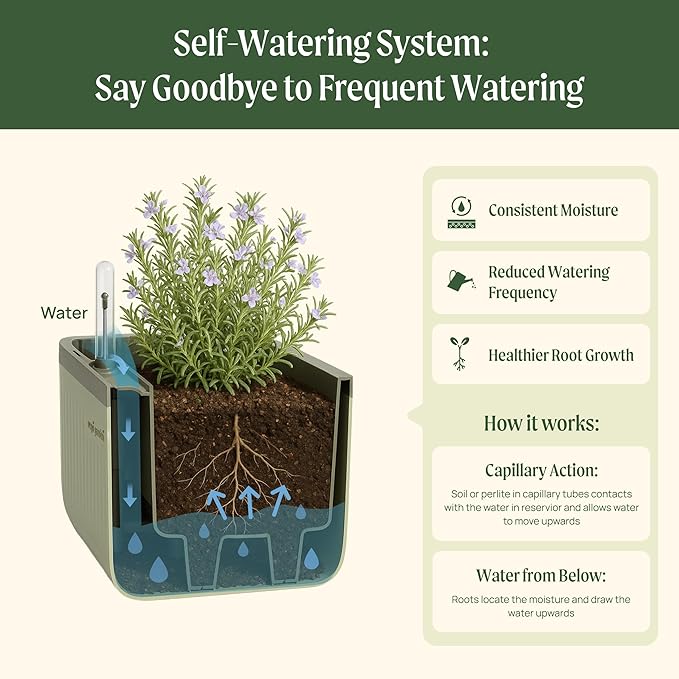Vego garden Herb Indoor Plant Box, Self Watering Planters Pots for Indoor Plants with Trellis for Kitchen Window Sill or Countertop Plants Cage - Sage Green - Bloomnest