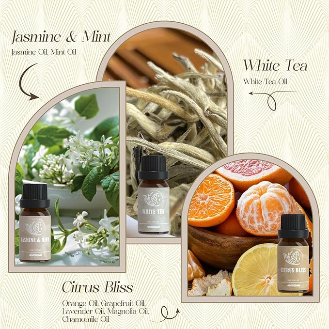 ARVIDSSON Hotel Diffuser Oils Gift Set, Hotel Scent Essential Oils for Diffuser, Luxury Fragrance Oil Blend - Jasmine & Mint, White Tea, Citrus Bliss, M-Way, Fancy Lobby, Gift for Women and Men - Bloomnest