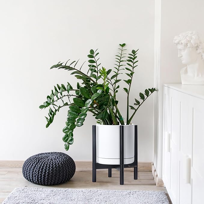 D'vine Dev Ceramic Planter with Ebony Stand - 12 Inch Modern Round Flower Pot with Wood Planter Holder, White, 55-B-H-1 - Bloomnest