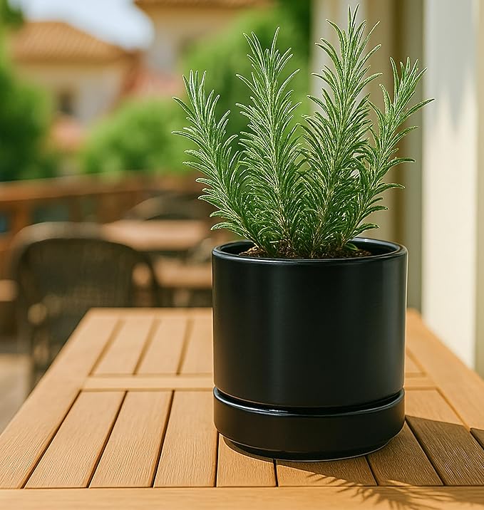 D'vine Dev 3.5 Inch & 4.7 Inch Ceramic Planter Pots for Plants with Drainage Hole and Saucer, X-Small Plant Pots Set, Black, 94-G-XS-2 - Bloomnest