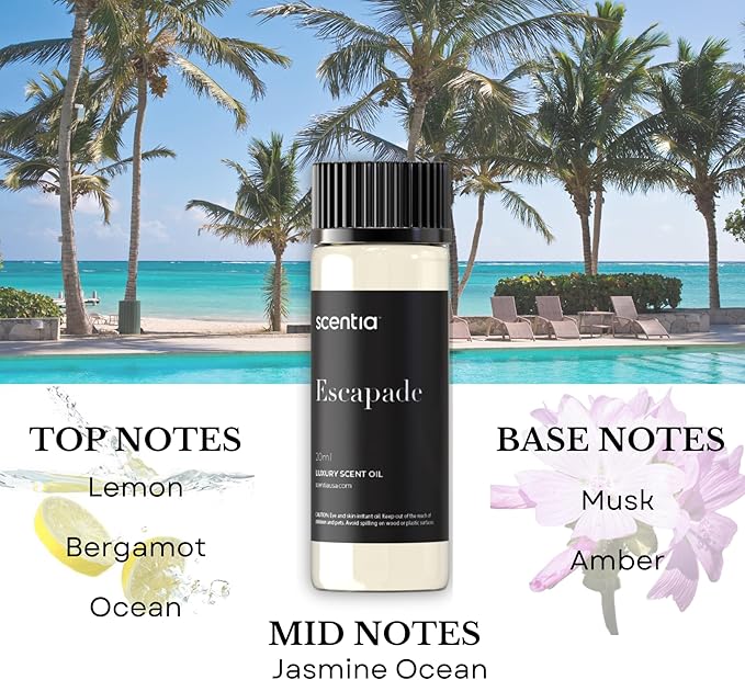 Scentia Hotel Inspired Collection Diffuser Oils – 3×20ml Aromatherapy Set | Luxury Scents Inspired by 5-Star Hotels | Gift-Ready Essential Oil Blend - Thanksgiving & Holiday Gift - Bloomnest