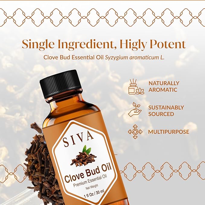 Siva Clove Bud Essential Oil - 1 Fl Oz – 100% Natural Clove Bud Oil - for Diffuser, Face, Skin Care, Aromatherapy, Hair Care, Scalp and Body Massage - with Dropper - Bloomnest