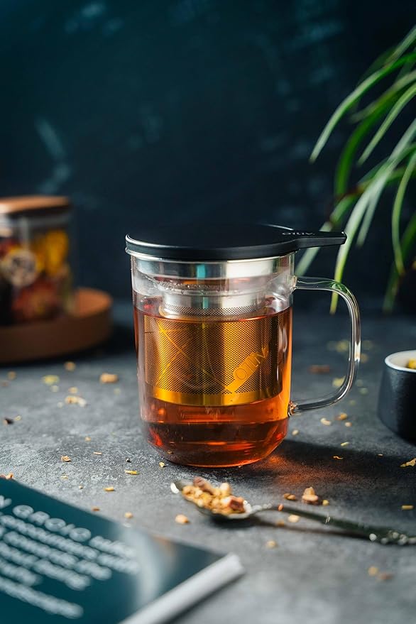 Glass Tea Cup with Infuser and Lid & Stainless Steel 400ml, Premium Borosilicate Tea Mug & Stainless Steel Filter, Heat-Resistant Brewing Set for Tea Lovers (Gift Ready Packaging) - Bloomnest