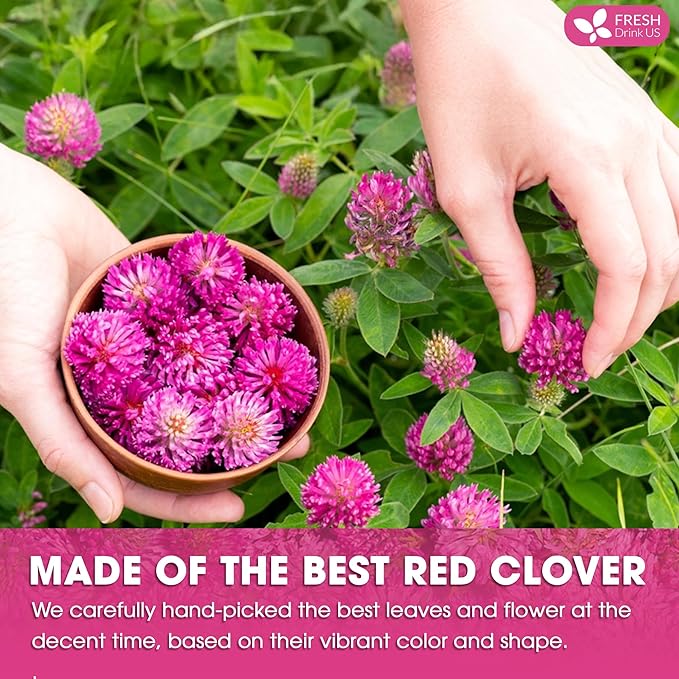 FreshDrinkUS, Premium Red Clover Herbal Tea– 75 Tea Bags – Pure – Naturally Smooth & Mild Flavor – Premium Quality, Eco-Conscious Packaging. Caffeine-Free. Gluten Free. Vegan - Bloomnest