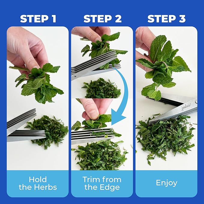 Jenaluca 5 Blade Herb Scissors - Salad Scissors - Cut & Chop Fresh Herbs & Leafy Greens - Stainless Steel Kitchen Shear Set with Cleaning Comb & Safety Cover - Kitchen Gadget - Black - Bloomnest