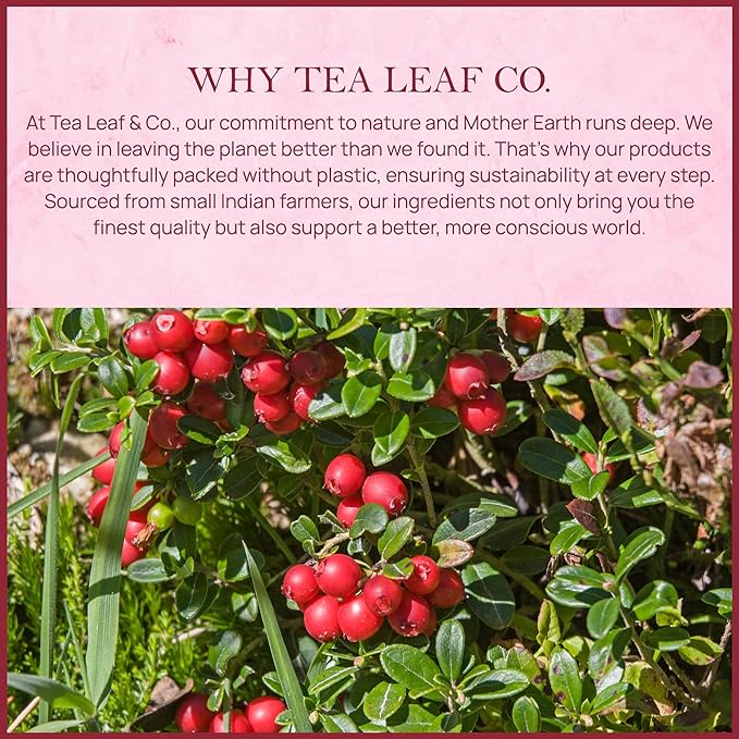 Tealeaf & Co. Cranberry Orange Black Tea Bags Blended with Fresh Herbs and Spices - Organic Black Tea Bags with Orange Peel, Star Anise & Hibiscus - Low Caffeine - Gluten Free - 50 Teabags - Bloomnest