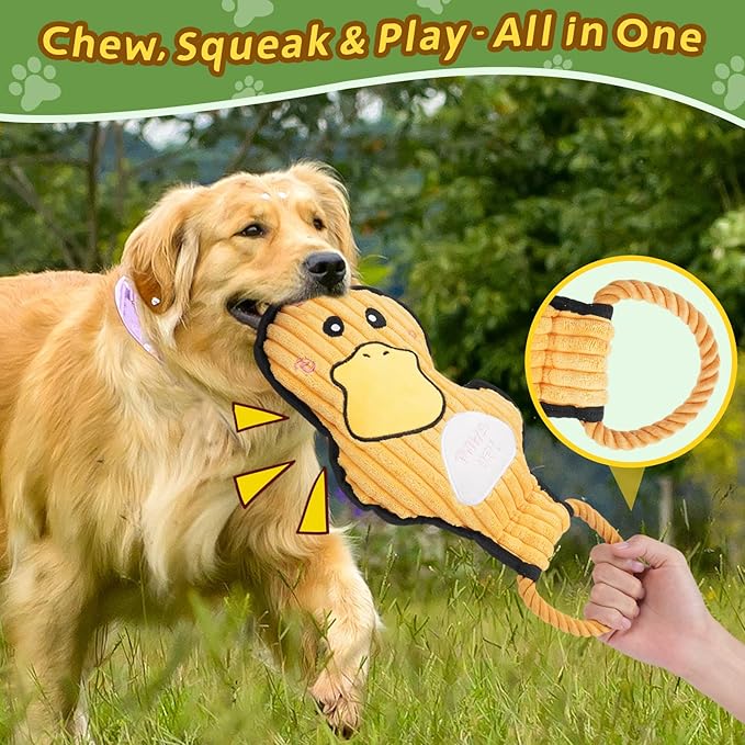 2-Pack Squeaky Dog Toys & Tough Tug of War Set - No Stuffing Chew-Resistant Plush Toys to Keep Them Busy, Best Birthday Gift for Small/Medium/Large Breeds (Ducks & Dino) - Bloomnest