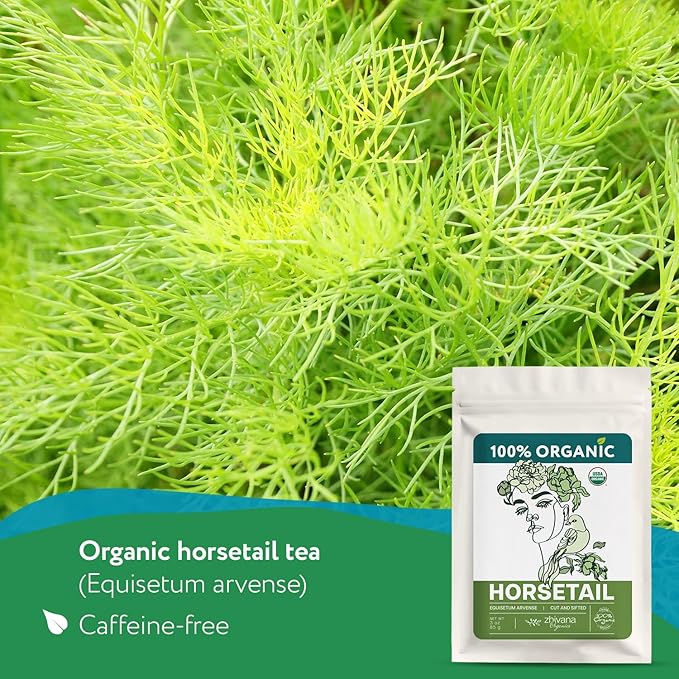 Organic Horsetail (4 oz.) (Equisetum arvense) – Loose Dried Herb – Edible Grade for Tea, Infusions & Herbal Blends - Cola de Caballo Hierba - Bloomnest
