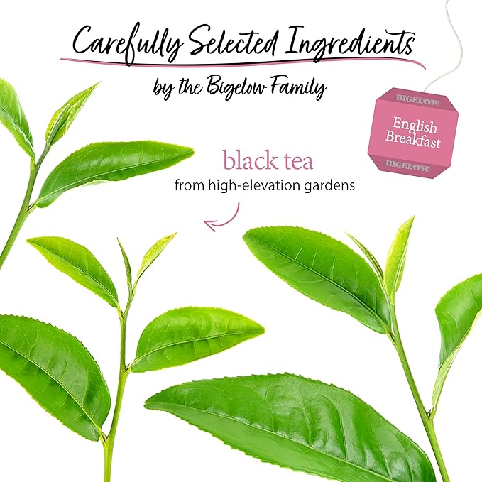 Bigelow Tea English Breakfast Black Tea, Caffeinated Tea, 20 Count Box (Pack of 6), 120 Total Tea Bags - Bloomnest