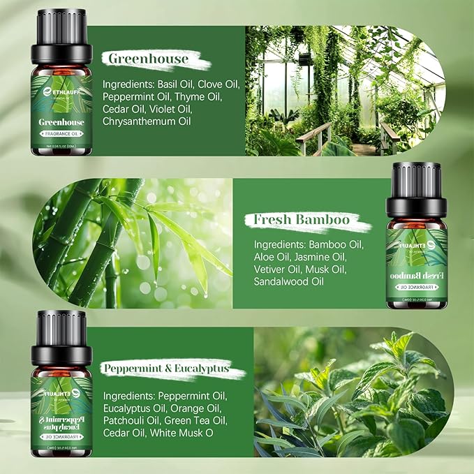 Fragrance Oils Set, Essential Oils for Diffuser for Home, Candle Sopa Making - Enchanted Forest, Willow and Ivy, Clover and Aloe, Fresh Bamboo, Scented Oil Gift Set - Bloomnest