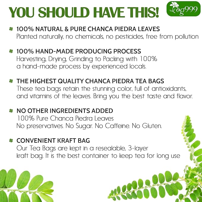 TOG999, Premium 120 Chanca Piedra Leaf Tea Bags, 100% Natural & Pure from Chanca Piedra Leaves. Loose Leaf Chanca Piedra Herbal Tea. Made with Natural Material Tea Bags. No Sugar, No Caffeine, No Gluten, Vegan. - Bloomnest