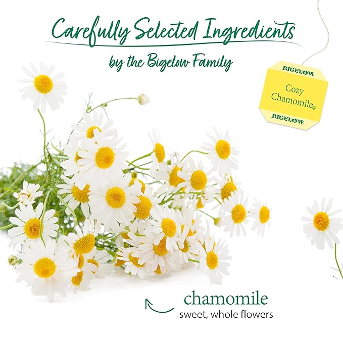 Bigelow Cozy Chamomile Herbal Tea,Caffeine Free Tea with Chamomile Flowers, 100 Count Box (Pack of 1) - Bloomnest