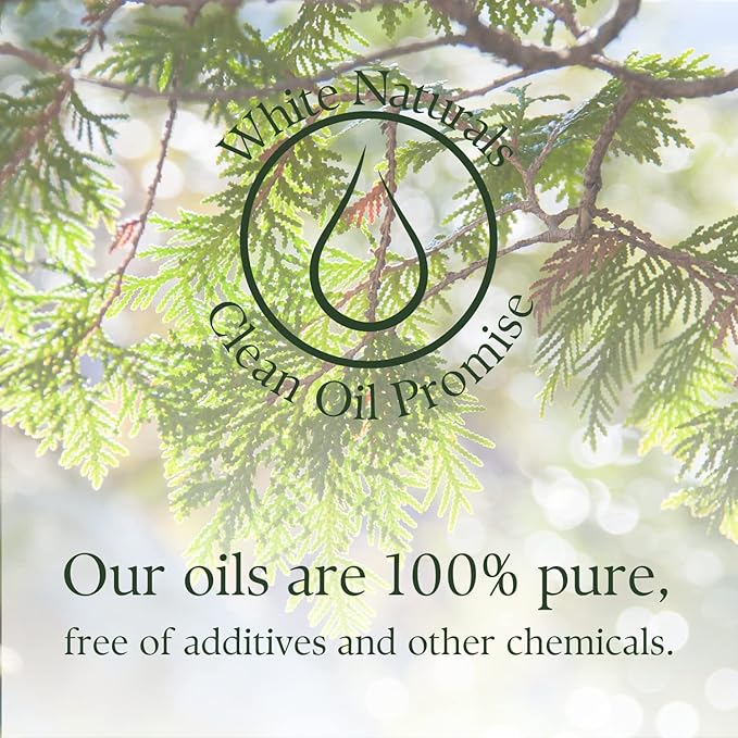 Cedarwood Essential Oil - Organic Pure Natural Undiluted Cedar Wood for Aromatherapy Home Diffuser, Premium Therapeutic Grade, Perfect for Massage Hair Body Skin Candle Soap Making with Glass Dropper - Bloomnest