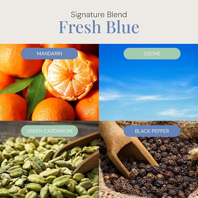 Fresh Blue Aroma Oil, Essential Oils Blend for Diffusers & Scent Machines, Mandarin, Ozone & Cardamom Blend, Aromatherapy, Cold Air Diffuser Compatible, 300 mL - Bloomnest