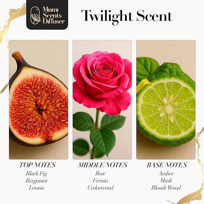 Twilight Black Velvet Scent Inspired by Edition Dubai Hotel 4 Fl -120 ml Essential Oils for Home Office Diffuser Luxury Fragance Refill Aromatherapy Fresh Blend of Blonde Wood Rose Ocean and Black Fig - Bloomnest