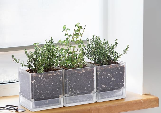 D'vine Dev 4 Inch Herb Planter Pot, Plastic Planter with Drainage Holes and Saucer, Modern Decorative Gardening Pot for Indoor Plants, Flowers, Herbs, Succulents, Clear, Set of 3, 76-Y-D-3 - Bloomnest
