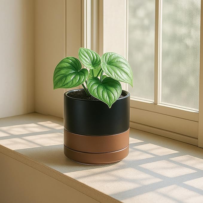 D'vine Dev Set of 2 Plants Pots, 4.7 Inch Ceramic Planter Pot for Plants with Drainage Hole and Saucer, Black/Speckled Tan, 94-V-B-7 - Bloomnest