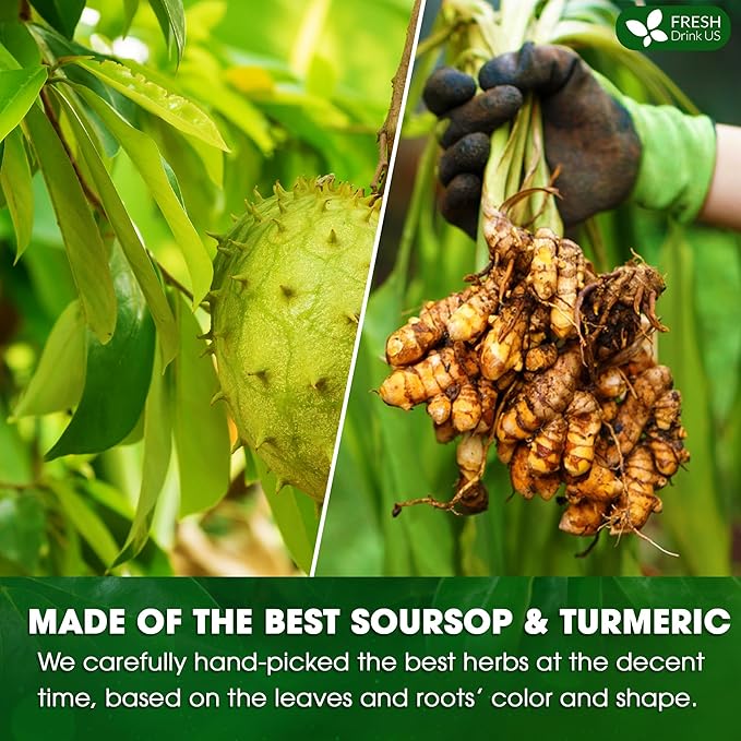 FreshDrinkUS, Premium 40 Soursop Turmeric Tea Bags, 100% Natural, Blend of Soursop Leaves, and Turmeric Root. Made with Natural Material Tea Bags. No Sugar, Vegan. - Bloomnest