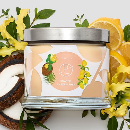 PartyLite Coastal Amber & Shea Scented, Notes of Ylang Flower, Citron, Sweet Coconut & Amber Creme, 13.2oz 3-Wick Jar Candle, 45 Hour Burn Time, Luxurious Fragrance, Ideal for Gifting - Bloomnest