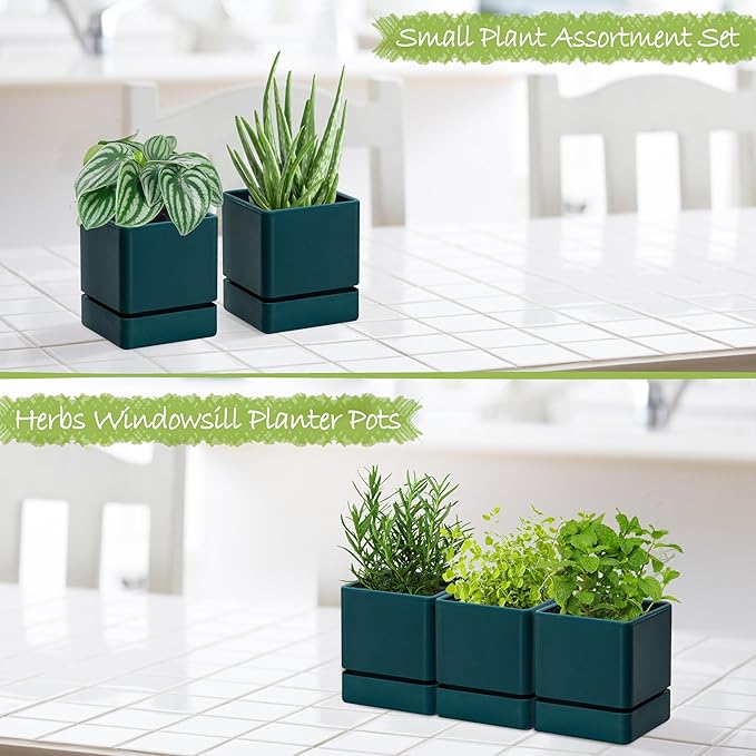 4 Inch Herb Planter Pot, Plastic Planter with Drainage Holes and Saucer, Modern Decorative Gardening Pot for Indoor Plants, Flowers, Herbs, Succulents, Green, Set of 3, 76-Y-C-3 - Bloomnest