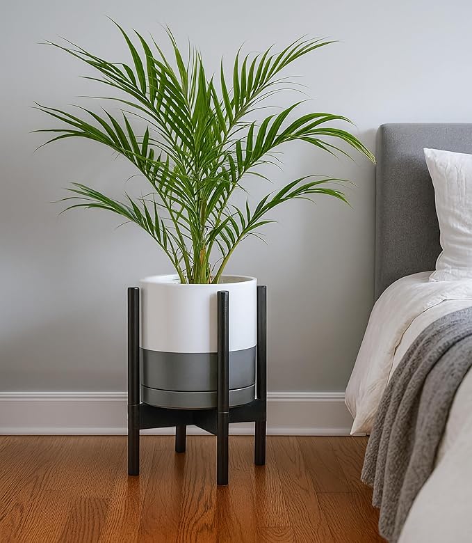 D'vine Dev Ceramic Planter with Ebony Stand - 10 Inch Modern Round Flower Pot with Wood Planter Holder, White/Grey, 55-B-L-6 - Bloomnest