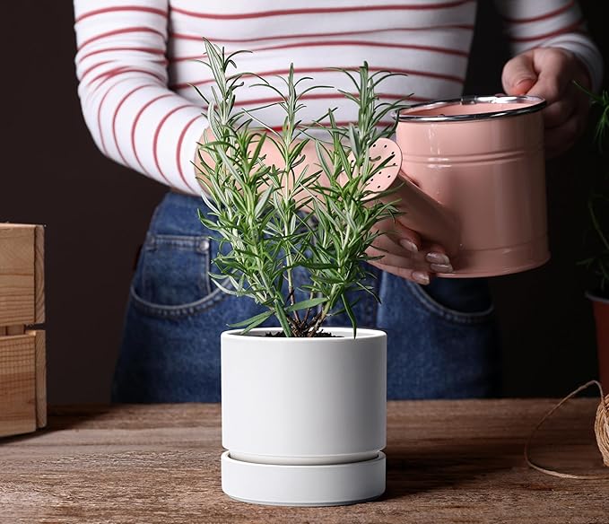 6 Inch Modern Plastic Round Pots for Indoor Houseplants and Herbs, Pack of 3 Planter Pot with Drainage Hole & Saucer, Deep Water Catch Tray, Straight Cylindrical Pot for Plants, Matte White, 23-D-S-1 - Bloomnest