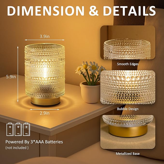 2 Pack Battery Operated Decorative Aesthetic Lamp with Timer for Dorm/Office/ Patio/Bedside/,Small Cordless Table Lamps with LED Warm Bulb for Shelf/Coffee Table/Entryway/ Mantle/Dresser Decor(Clear) - Bloomnest