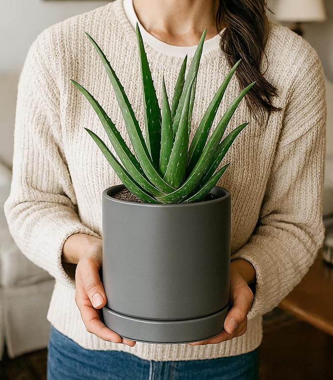 D'vine Dev 4.7 Inch & 6.5 Inch Ceramic Planter Pots for Plants with Drainage Hole and Saucer, Small Plant Pots Set, Speckled Grey, 94-G-S-3 - Bloomnest