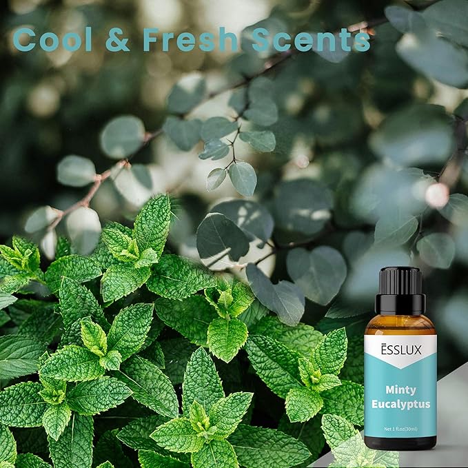 Minty Eucalyptus Fragrance Oil - ESSLUX Essential Oils for Diffuser, Candle Soap Making Scents, Fresh Clean Aromatherapy Scented Massage, Perfume for Humidifier Home Fragrance, 1 fl oz - Bloomnest