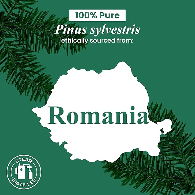 Handcraft Blends Pine Essential Oil – 1 Fl Oz – 100% Pure and Natural – Premium Grade Essential Oil for Diffuser and Aromatherapy, Skin, Massage, Candle and Soap Making Fragrance - Bloomnest