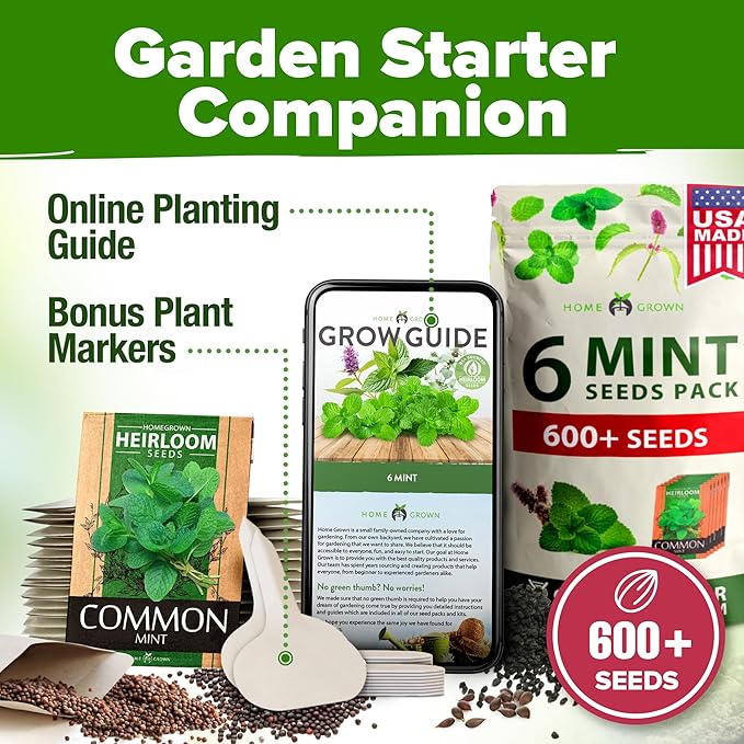 6 Mint Varieties – 600+ Heirloom Herb Seeds 𝗡𝗢𝗡-𝗚𝗠𝗢 𝗨𝗦𝗔 Peppermint, Spearmint, Mountain, Wild, Anise Hyssop, Common Mint | Indoor Outdoor Garden, Pots, Tea, Medicinal Use