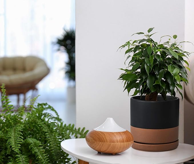 D'vine Dev Set of 2 Plants Pots, 8 Inch Ceramic Planter Pot for Plants with Drainage Hole and Saucer, Black/Speckled Tan, 94-V-D-7 - Bloomnest