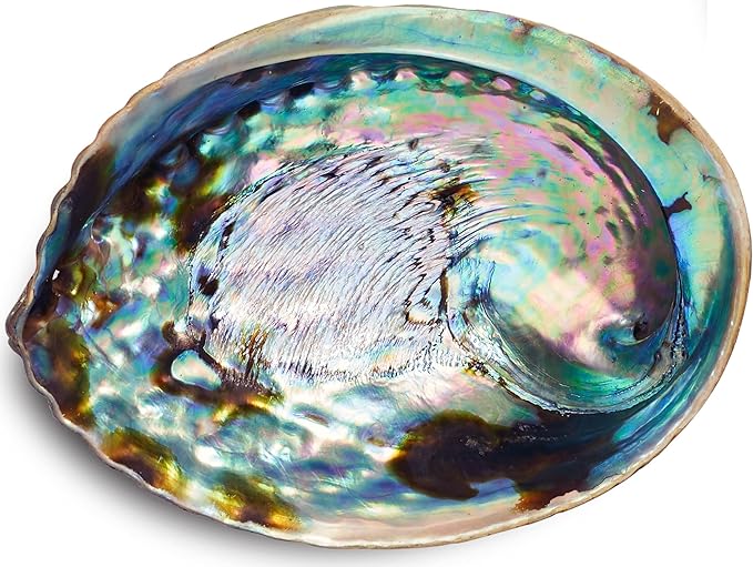 JL Local 5 Inch Smudge Kit Shell & Stand | Abalone Shell + Wood Stand | Hand Made, Sustainably Grown, Smudging Kit Smudge Bowl & Stand - Bloomnest