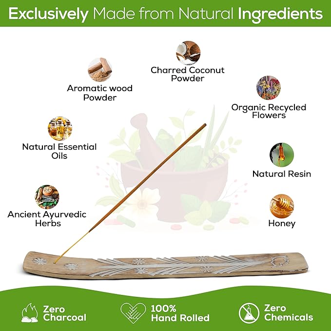 Raajsee Satya Traditional Ayurveda Incense Sticks, Nagchampa 15gmx12 Pack (12 Sets of 15g, 160 Pieces Total) with Raajsee Incense Holder - Bloomnest