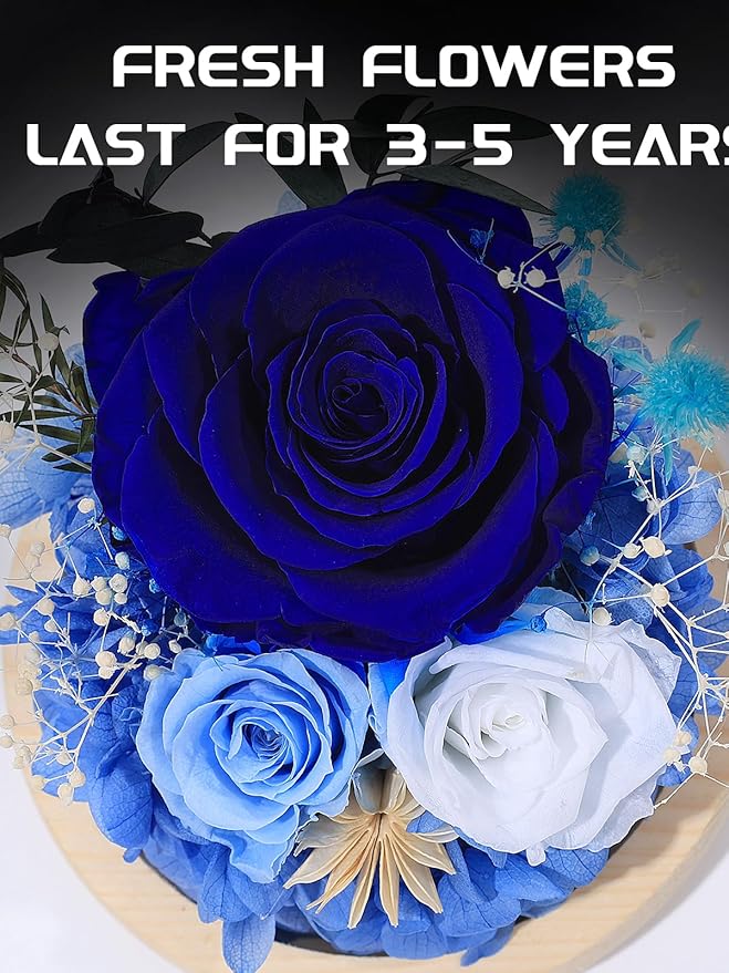 FIACO Preserved Rose Birthday Gift for Women Forever Fresh Flowers for Prime Delivery Gift for Mom Grandma Wife Valentines Mothers Day Christmas Anniversary Eternal Roses in Glass Dome - Bloomnest
