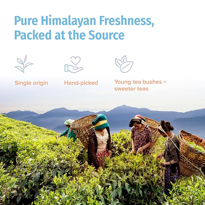 Nepal Tea Organic Loose Leaf Tea Sampler | Includes a Variety of 14 Delicious & Unique Loose Teas - Bloomnest