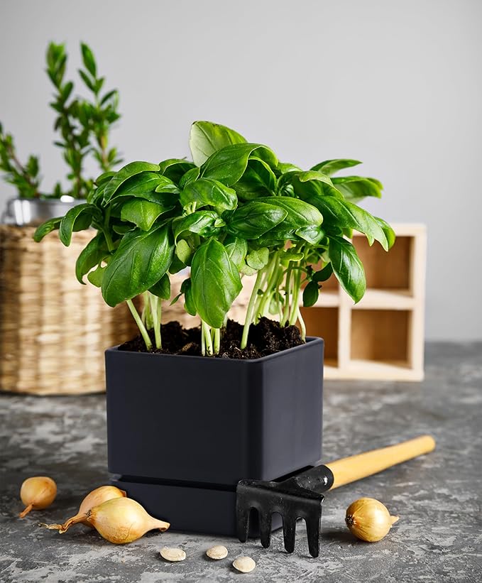 4 Inch Herb Planter Pot, Plastic Planter with Drainage Holes and Saucer, Modern Decorative Gardening Pot for Indoor Plants, Flowers, Herbs, Succulents, Black, Set of 2, 76-Y-B-2 - Bloomnest