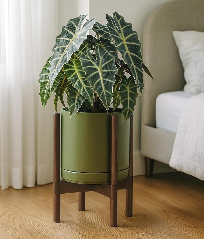 D'vine Dev Ceramic Planter with Walnut Color Stand - 10 Inch Modern Round Flower Pot with Wood Planter Holder, Olive, 55-B-X-J - Bloomnest