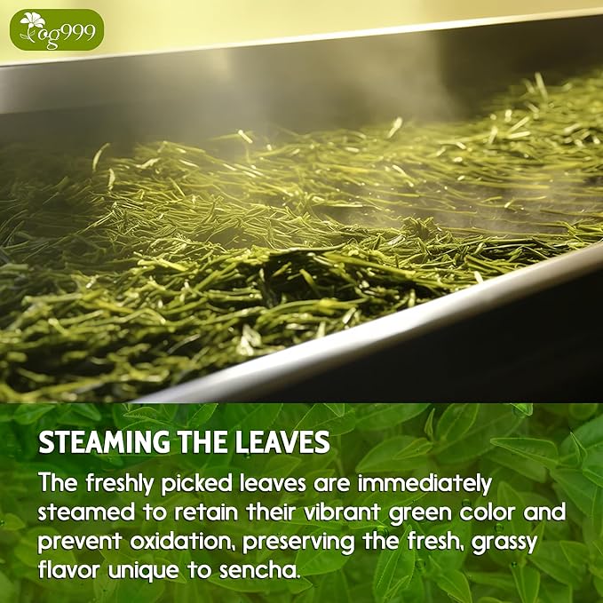 TOG999, Premium 60 Sencha Green Tea Bags, 100% Natural & Pure from Sencha Green Tea Leaves. Loose Leaf Sencha Herbal Tea. No Sugar, No Gluten, Vegan. - Bloomnest