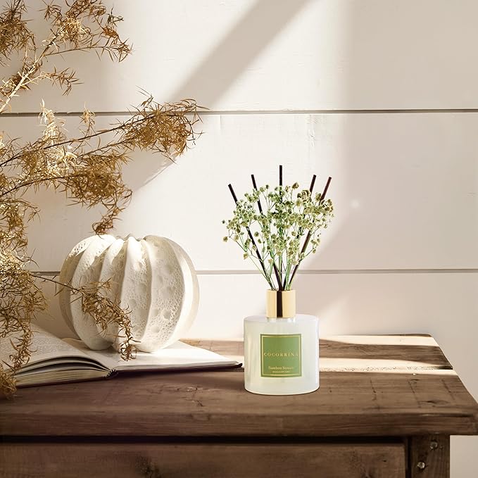 Cocorrína Reed Diffuser - Bamboo Stream Scented Diffuser with 8 Sticks Home Fragrance Reed Diffuser for Bathroom Shelf Decor - Bloomnest