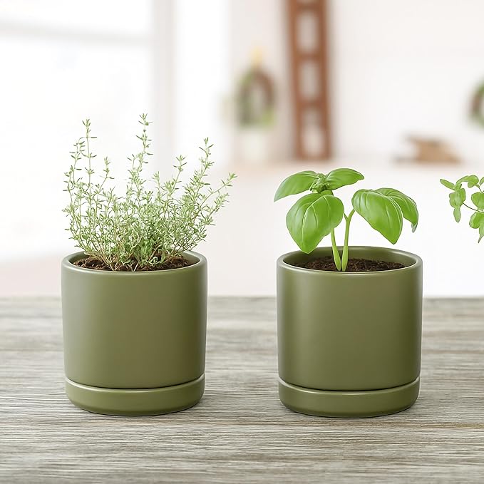 D'vine Dev Set of 2 Plants Pots, 3.5 Inch Ceramic Planter Pot for Plants with Drainage Hole and Saucer, Olive, 94-V-A-J - Bloomnest