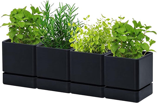 4 Inch Herb Planter Pot, Plastic Planter with Drainage Holes and Saucer, Modern Decorative Gardening Pot for Indoor Plants, Flowers, Herbs, Succulents, Black, Set of 4, 76-Y-B-4 - Bloomnest