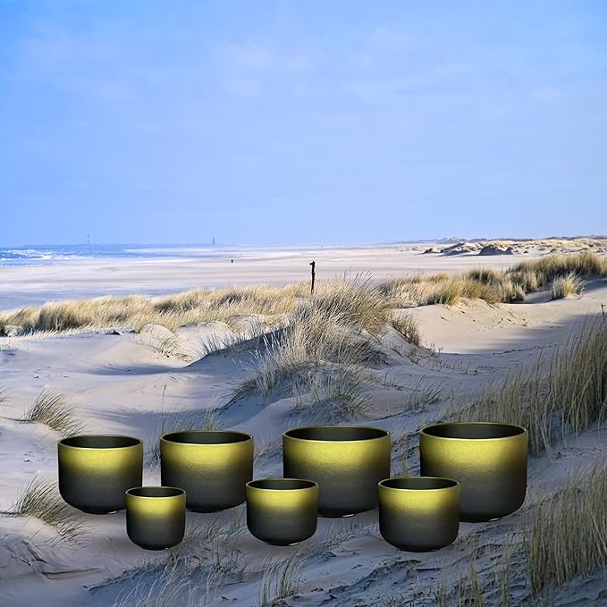 Ryan Dvan Crystal Singing Bowl Set 7-12 Inch, Black with Gold Frosted Quartz Sound Therapy Bowls with Mallets, O-Rings & 2 Carrying Cases — Chakra Healing, Reiki, Yoga, Meditation, Energy Balancing - Bloomnest