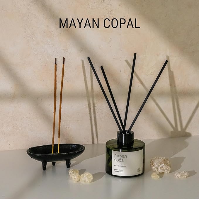 Craft & Kin Mayan Copal Reed Diffuser | All Natural Essential Oil & Rattan Scent Sticks | Winter Reed Diffusers for Home, Bathroom | Long Lasting Home Fragrance in Green Glass, 3.4oz CraftKin